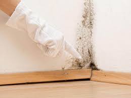 Best Residential Mold Inspection & Testing  in Orleans, IN